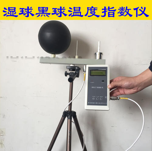 3m黑球濕球溫度計(jì)詳情